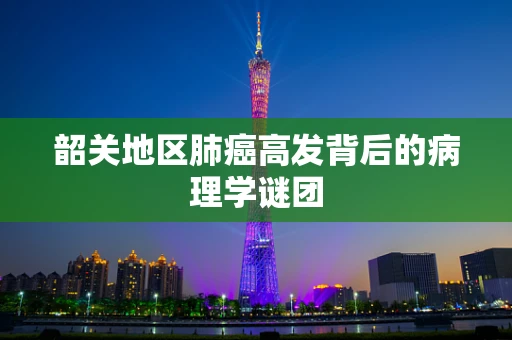 韶关地区肺癌高发背后的病理学谜团