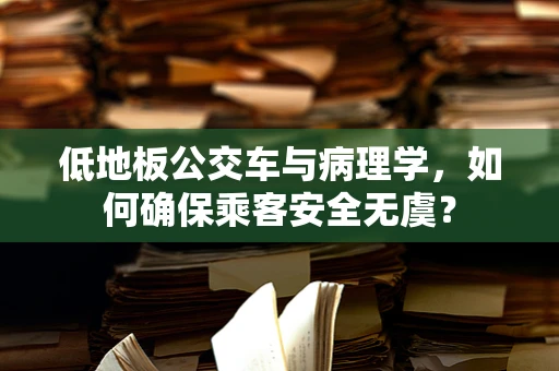 低地板公交车与病理学，如何确保乘客安全无虞？