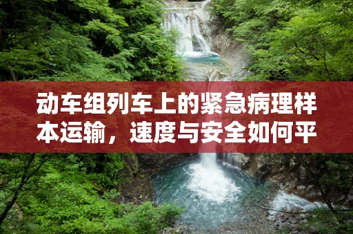 动车组列车上的紧急病理样本运输，速度与安全如何平衡？