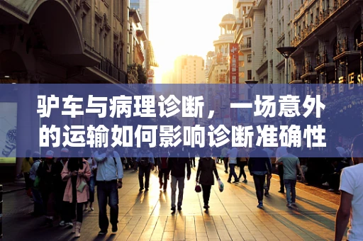 驴车与病理诊断，一场意外的运输如何影响诊断准确性？