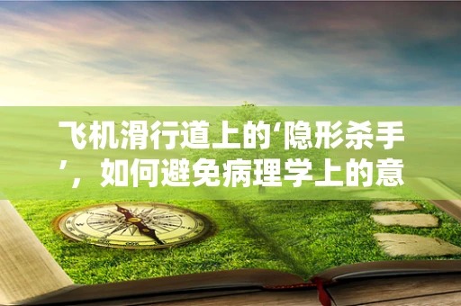 飞机滑行道上的‘隐形杀手’，如何避免病理学上的意外？