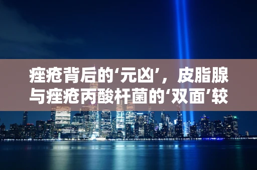 痤疮背后的‘元凶’，皮脂腺与痤疮丙酸杆菌的‘双面’较量