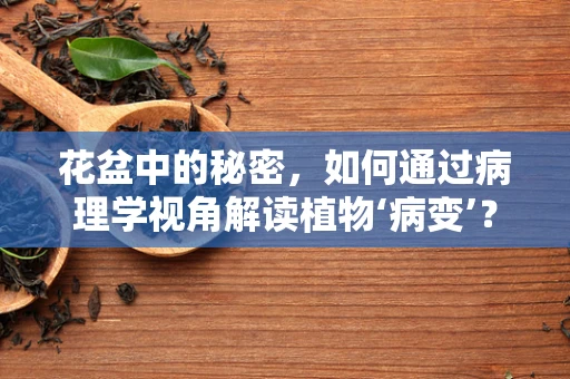 花盆中的秘密，如何通过病理学视角解读植物‘病变’？