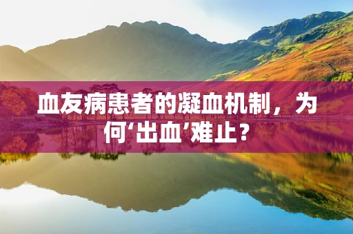 血友病患者的凝血机制，为何‘出血’难止？