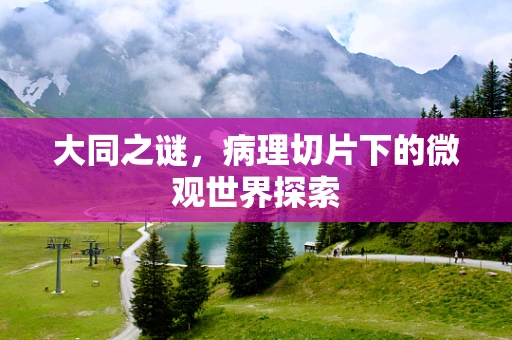 大同之谜，病理切片下的微观世界探索