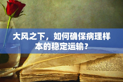 大风之下，如何确保病理样本的稳定运输？