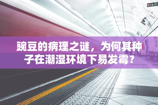豌豆的病理之谜，为何其种子在潮湿环境下易发霉？