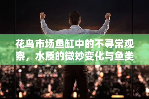 花鸟市场鱼缸中的不寻常观察，水质的微妙变化与鱼类健康