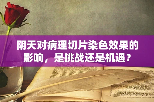 阴天对病理切片染色效果的影响，是挑战还是机遇？