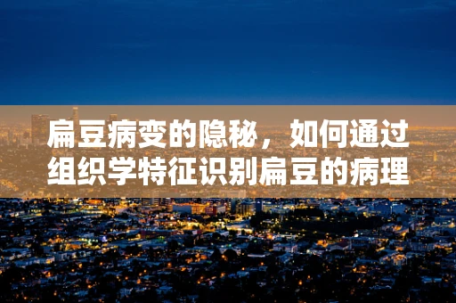扁豆病变的隐秘，如何通过组织学特征识别扁豆的病理变化？