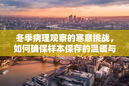 冬季病理观察的寒意挑战，如何确保样本保存的温暖与精准？