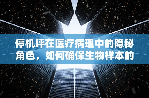 停机坪在医疗病理中的隐秘角色，如何确保生物样本的空中安全？