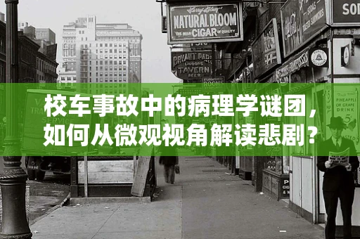 校车事故中的病理学谜团，如何从微观视角解读悲剧？