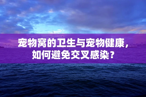 宠物窝的卫生与宠物健康，如何避免交叉感染？