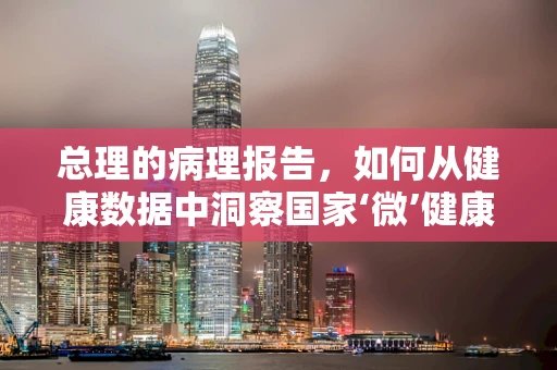 总理的病理报告，如何从健康数据中洞察国家‘微’健康？
