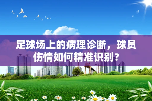 足球场上的病理诊断，球员伤情如何精准识别？