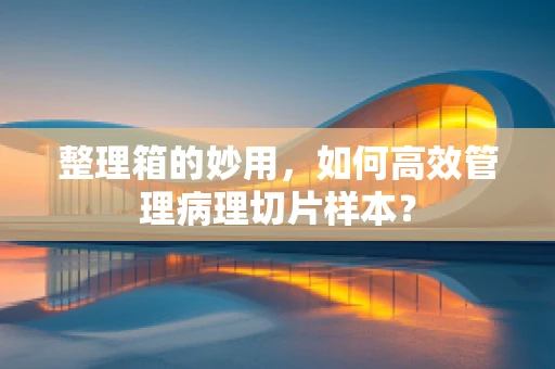 整理箱的妙用，如何高效管理病理切片样本？
