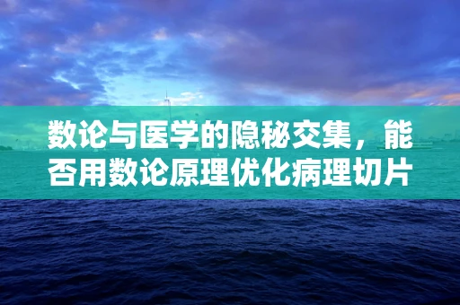 数论与医学的隐秘交集，能否用数论原理优化病理切片分析？