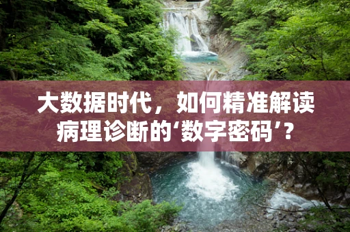 大数据时代，如何精准解读病理诊断的‘数字密码’？