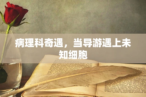 病理科奇遇，当导游遇上未知细胞