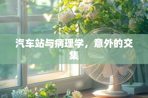 汽车站与病理学，意外的交集