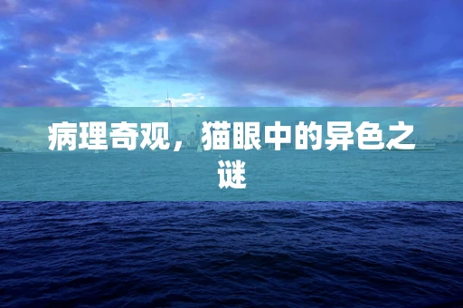 病理奇观，猫眼中的异色之谜