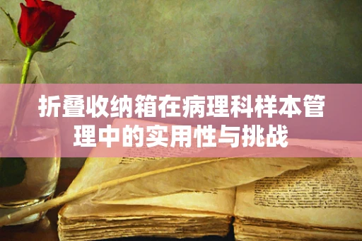 折叠收纳箱在病理科样本管理中的实用性与挑战