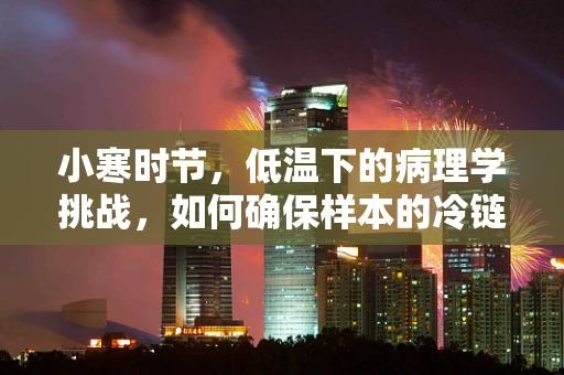小寒时节，低温下的病理学挑战，如何确保样本的冷链安全？