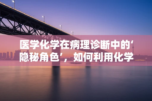 医学化学在病理诊断中的‘隐秘角色’，如何利用化学标记物提升诊断准确性？