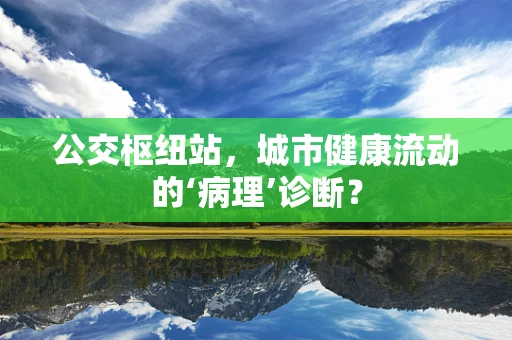 公交枢纽站，城市健康流动的‘病理’诊断？