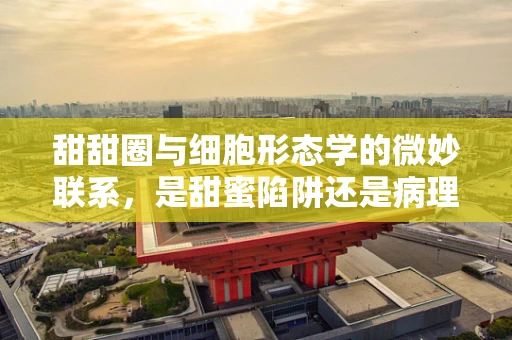 甜甜圈与细胞形态学的微妙联系，是甜蜜陷阱还是病理学线索？
