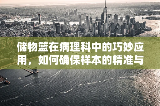储物篮在病理科中的巧妙应用，如何确保样本的精准与安全？