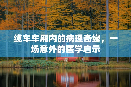 缆车车厢内的病理奇缘，一场意外的医学启示