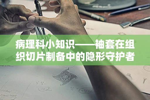 病理科小知识——袖套在组织切片制备中的隐形守护者