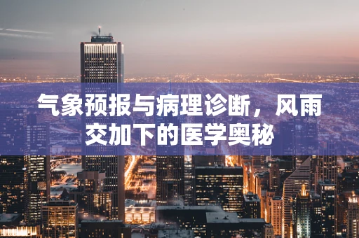 气象预报与病理诊断，风雨交加下的医学奥秘