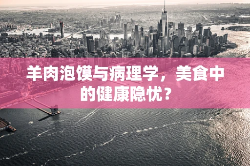羊肉泡馍与病理学，美食中的健康隐忧？