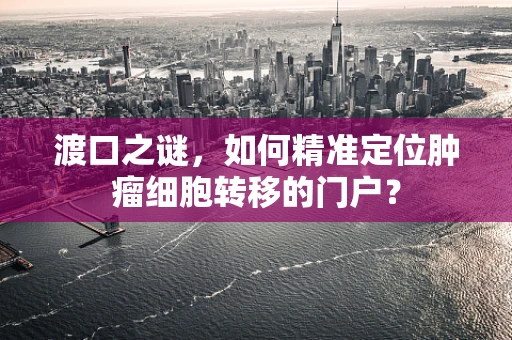 渡口之谜，如何精准定位肿瘤细胞转移的门户？