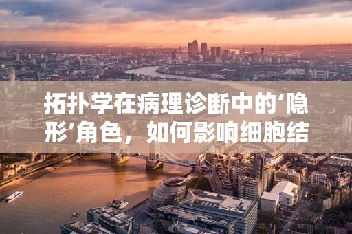 拓扑学在病理诊断中的‘隐形’角色，如何影响细胞结构的理解？