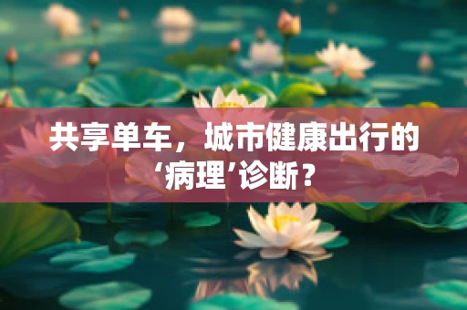 共享单车，城市健康出行的‘病理’诊断？