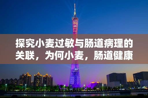 探究小麦过敏与肠道病理的关联，为何小麦，肠道健康的隐形挑战者？