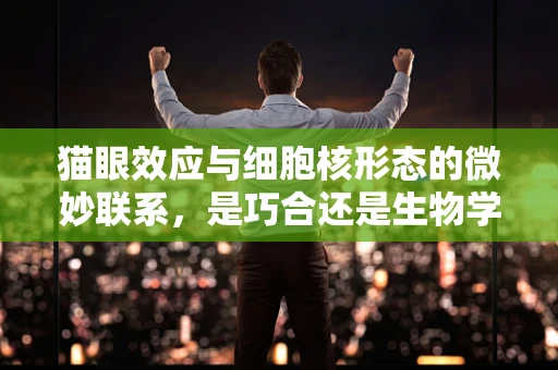 猫眼效应与细胞核形态的微妙联系，是巧合还是生物学的隐秘信号？