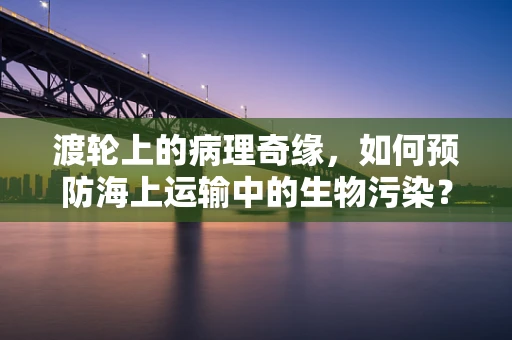 渡轮上的病理奇缘，如何预防海上运输中的生物污染？