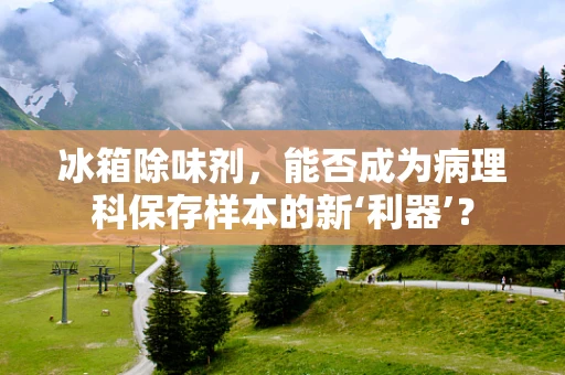 冰箱除味剂，能否成为病理科保存样本的新‘利器’？