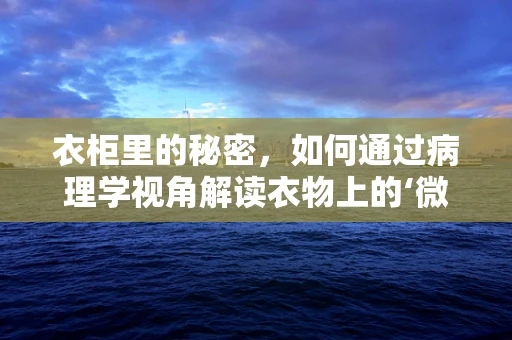 衣柜里的秘密，如何通过病理学视角解读衣物上的‘微小痕迹’？