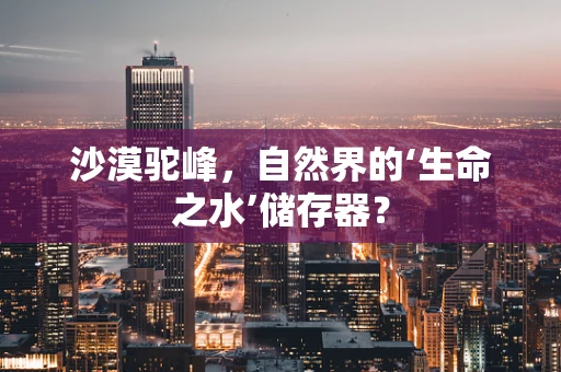 沙漠驼峰，自然界的‘生命之水’储存器？