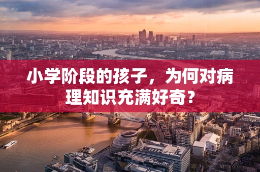 小学阶段的孩子，为何对病理知识充满好奇？