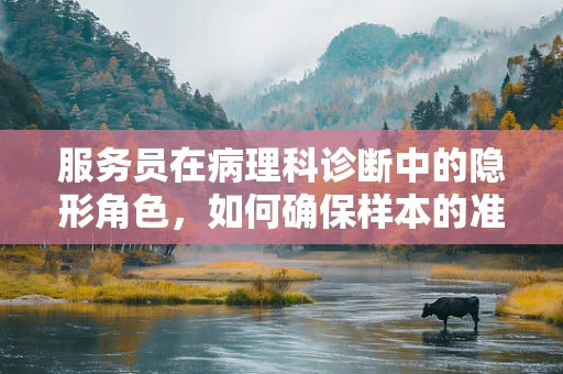 服务员在病理科诊断中的隐形角色，如何确保样本的准确送达？