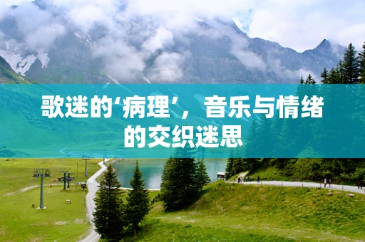歌迷的‘病理’，音乐与情绪的交织迷思