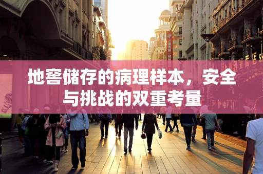 地窖储存的病理样本，安全与挑战的双重考量