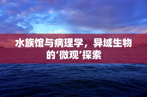 水族馆与病理学，异域生物的‘微观’探索